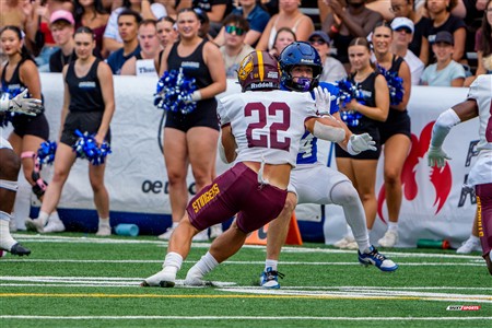 RSEQ 2025 - Football Universitaire - Carabins de Montréal (41) vs (14) Stingers de Concordia - Match