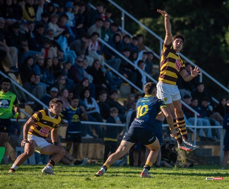 URBA 2025 - Top 12 - 1ra fecha -  La Plata (28) vs (44) Belgrano Athletic