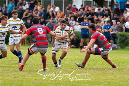 URT 2025 - Lince Rugby Club (12) vs (29)Tucuman Lawn Tennis Club