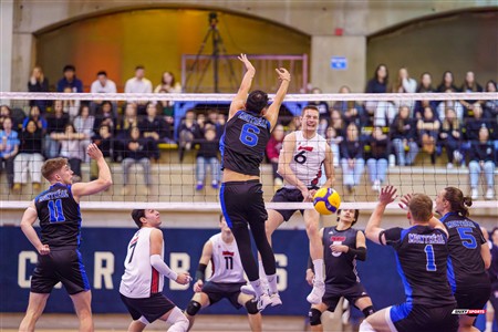 RSEQ 2025 - Volleyball M - Université de Montréal (3) vs (0) UNB