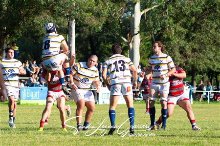 URT 2025 - Lince Rugby Club (12) vs (29)Tucuman Lawn Tennis Club