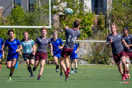RSEQ 2025 - Rugby M - Université de Montréal vs Université Ottawa