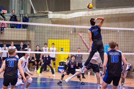 RSEQ 2025 - Volleyball M - Université de Montréal (3) vs (0) UNB