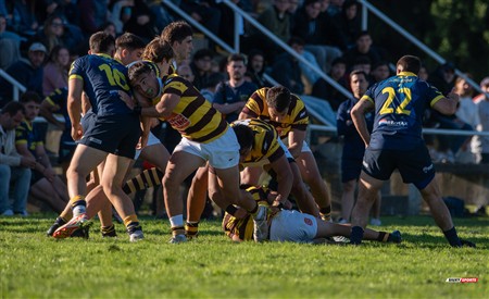 URBA 2025 - Top 12 - 1ra fecha -  La Plata (28) vs (44) Belgrano Athletic