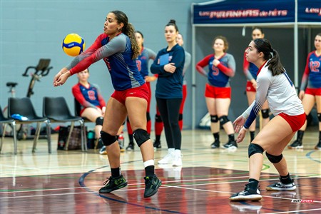 RSEQ 2025 - Volleyball F - ETS (0) vs (3) McGill