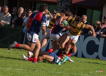 URBA 2025 - Top 12 - 5ta fecha - Belgrano Athletic (52) vs (17) San Luis