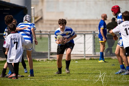 Challenge des Fabulous Rugby 2025