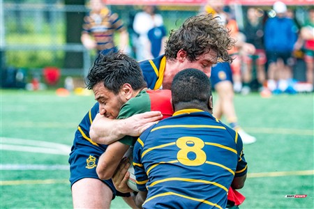 RQ 2025 - Super Ligue M Réserve - Rugby Club de Montréal (24) vs (8) Town Mount Royal -  Reel Juan