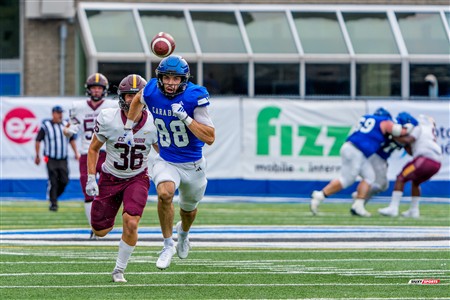 RSEQ 2025 - Football Universitaire - Carabins de Montréal (41) vs (14) Stingers de Concordia - Match