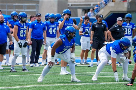 RSEQ 2025 - Football Universitaire - Carabins de Montréal vs Stingers de Concordia - Joueurs