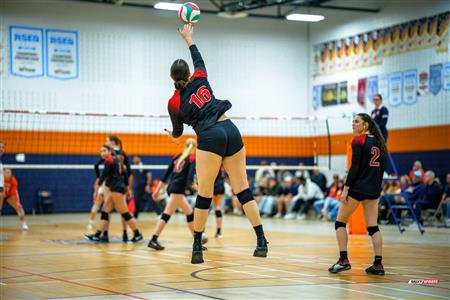 RSEQ 2025 - Volleyball F D1 - André Laurendeau vs Édouard-Montpetit