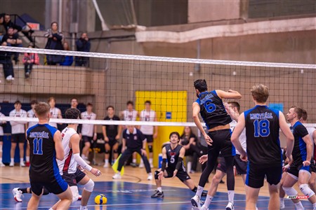 RSEQ 2025 - Volleyball M - Université de Montréal (3) vs (0) UNB