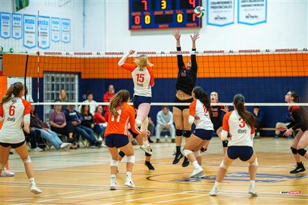 RSEQ 2025 - Volleyball F D1 - André Laurendeau vs Édouard-Montpetit
