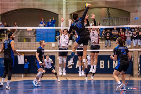 RSEQ 2025 - Volleyball M - Université de Montréal (3) vs (0) UNB