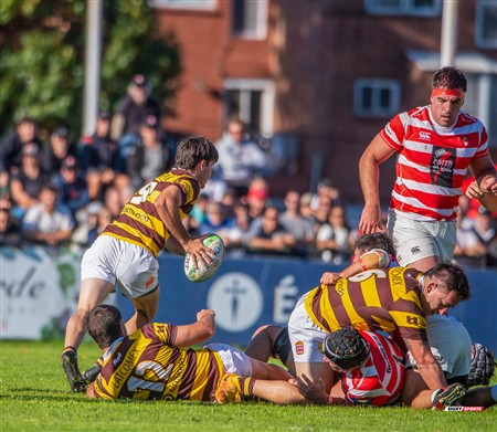 URBA 2025 - Top 12 - 3ra fecha - Sup -  Alumni (19) vs (35) Belgrano Athletic