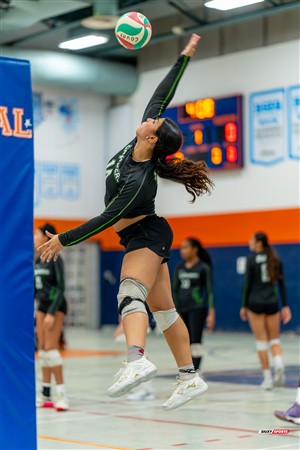 RSEQ 2025 - Volleyball F D1 - André Laurendeau (3) vs (1) Bois-de-Boulogne - Reel BB