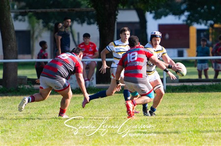 URT 2025 - Lince Rugby Club (12) vs (29)Tucuman Lawn Tennis Club