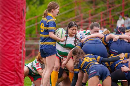 RQ 2025 - LPR2 F - TMR (12) vs (37) RCM