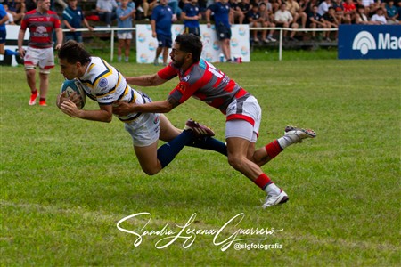URT 2025 - Lince Rugby Club (12) vs (29)Tucuman Lawn Tennis Club