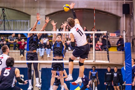 RSEQ 2025 - Volleyball M - Université de Montréal (3) vs (0) UNB