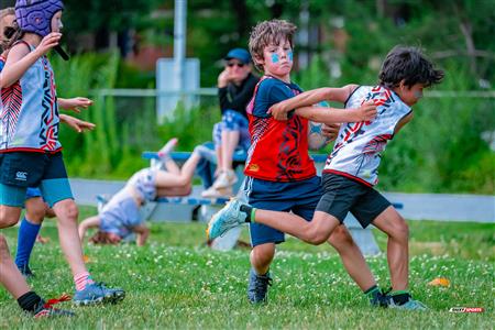 2025 Stade Toulousain - Academie Rugby - Dragons NDG