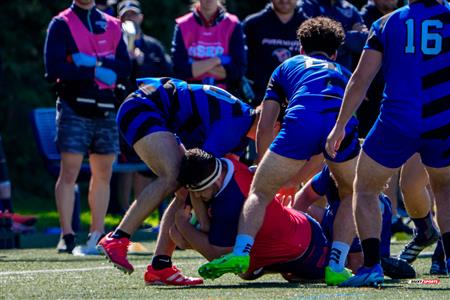 RSEQ 2025 - Rugby M - Université de Montréal vs ETS - Match