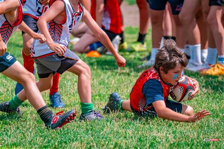 2025 Stade Toulousain - Academie Rugby - Dragons NDG