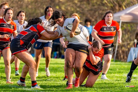 2025 - 4th annual Cat Polson Cup - Beaconsfield vs Sainte-Anne de Bellevue