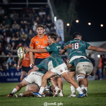 SRA 2025 - Fecha 12 - Tarucas (29) vs (43) Dogos