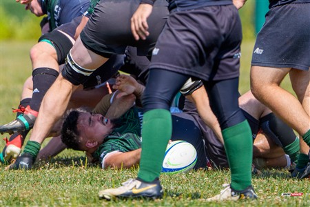 RQ 2025 - Final LP3 Masc - Montréal Phénix Rugby vs Nomades de Laval