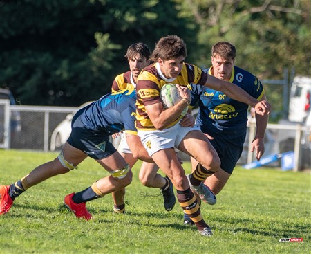 URBA 2025 - Top 12 - 1ra fecha -  La Plata (28) vs (44) Belgrano Athletic