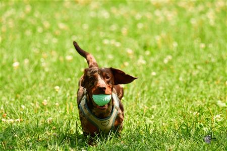 RQ 2025 - LP2 F - Rugby Club de Montréal vs TMR
