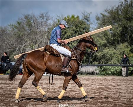 Torneo Nacional de Pato dia de la Independencia Argentina