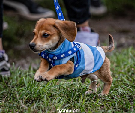 URT 2025 - Bajo Hondo vs San Martin RC