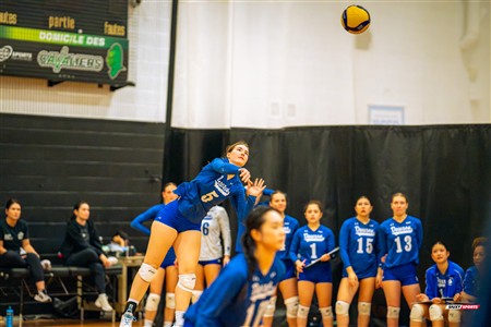 RSEQ 2025 - Volleyball F D2 - Championnat de Conférence - Dawson (0) vs (2) Montmorency