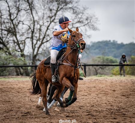 Torneo Nacional de Pato dia de la Independencia Argentina