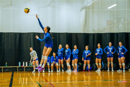 RSEQ 2025 - Volleyball F D2 - Championnat de Conférence - Dawson (0) vs (2) Montmorency