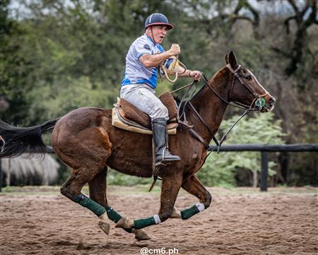 Torneo Nacional de Pato dia de la Independencia Argentina