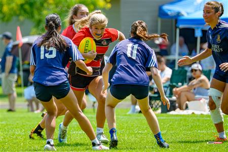 RQ 2025 - LP1F - SABRFC (0) vs (73) Beaconsfield RFC 