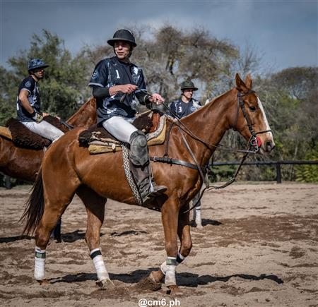 Torneo Nacional de Pato dia de la Independencia Argentina