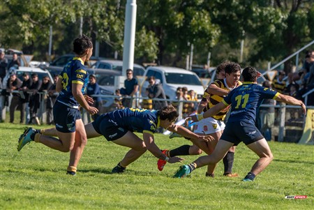 URBA 2025 - Top 12 - 1ra fecha -  La Plata (28) vs (44) Belgrano Athletic