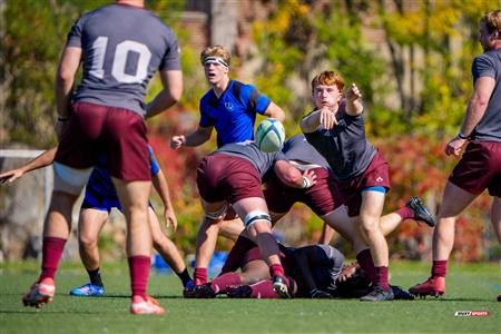 RSEQ 2025 - Rugby M - Université de Montréal vs Université Ottawa