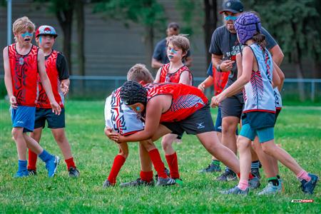 2025 Stade Toulousain - Academie Rugby - Dragons NDG