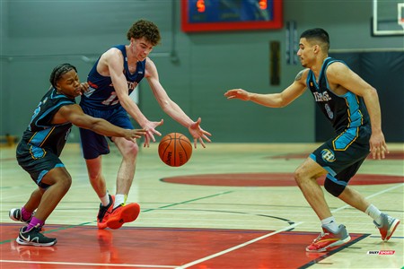 RSEQ 2025 - Basketball M - D2 Sud-Ouest - Champ de Conf - Heritage (69) vs (62) André Laurendeau