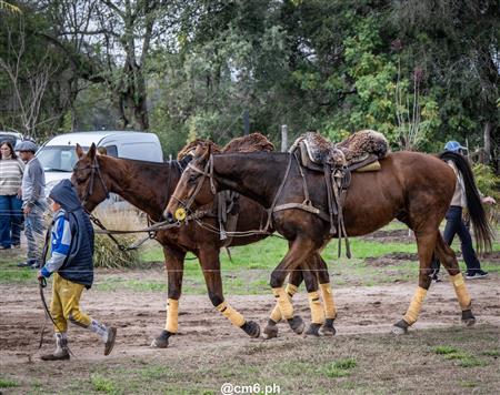 Torneo Nacional de Pato dia de la Independencia Argentina