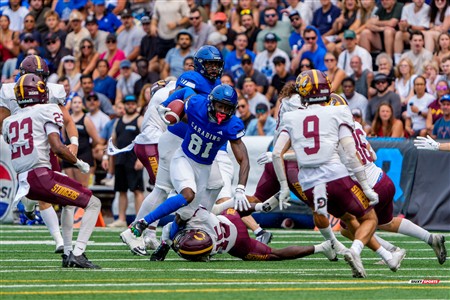 RSEQ 2025 - Football Universitaire - Carabins de Montréal (41) vs (14) Stingers de Concordia - Match
