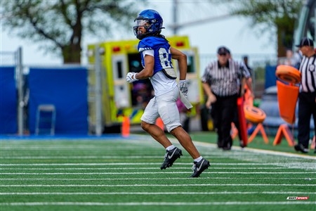 RSEQ 2025 - Football Universitaire - Carabins de Montréal (41) vs (14) Stingers de Concordia - Match