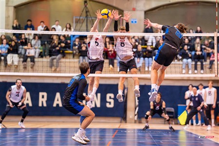 RSEQ 2025 - Volleyball M - Université de Montréal (3) vs (0) UNB