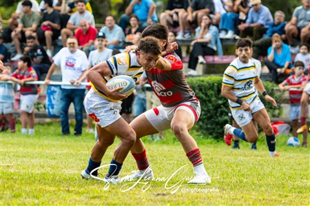 URT 2025 - Lince Rugby Club (12) vs (29)Tucuman Lawn Tennis Club