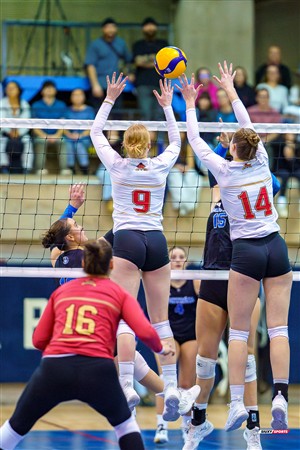 RSEQ 2025 - Volleyball F Finale 1 - Université de Montréal (3) vs (1) Université Laval